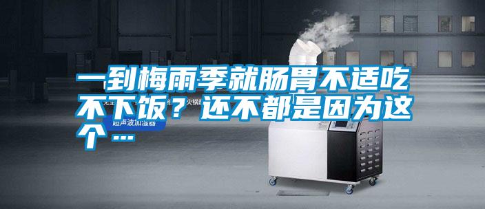 一到梅雨季就腸胃不適吃不下飯？還不都是因為這個…