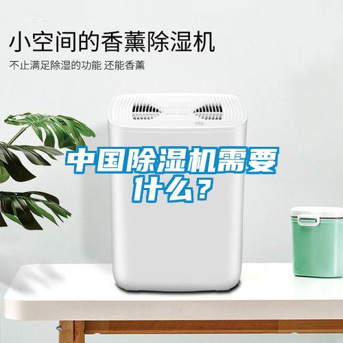 中國除濕機(jī)需要什么？