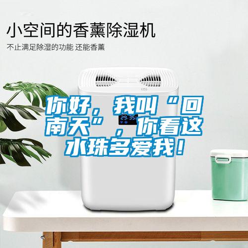 你好，我叫“回南天”，你看這水珠多愛我！