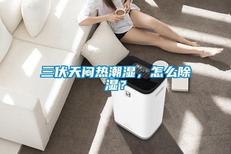 三伏天悶熱潮濕，怎么除濕？