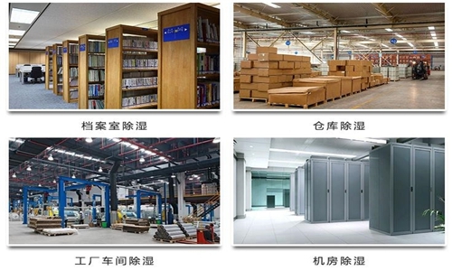 為什么竹筍烘干房需要除濕機(jī)？