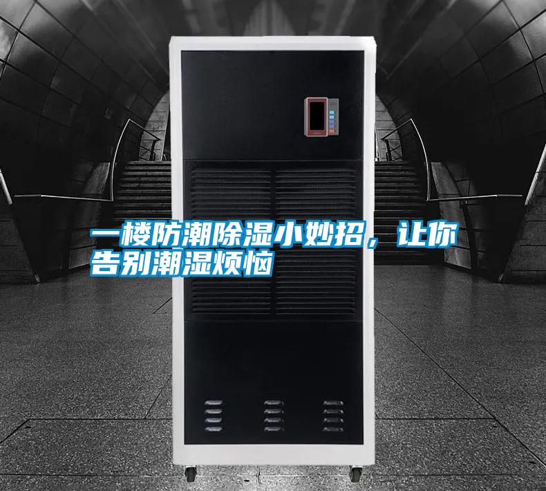 一樓防潮除濕小妙招，讓你告別潮濕煩惱