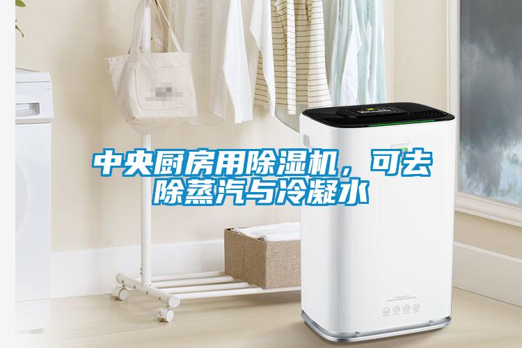 中央廚房用除濕機(jī)，可去除蒸汽與冷凝水