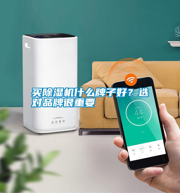 買(mǎi)除濕機(jī)什么牌子好？選對(duì)品牌很重要