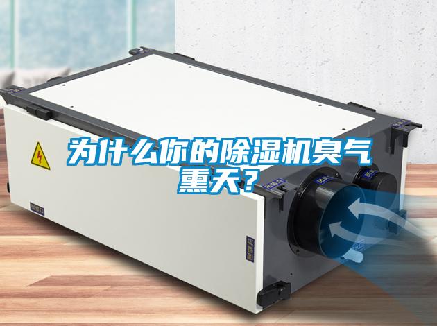 為什么你的除濕機(jī)臭氣熏天？