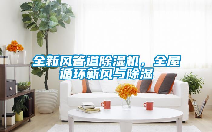 全新風(fēng)管道除濕機(jī)，全屋循環(huán)新風(fēng)與除濕
