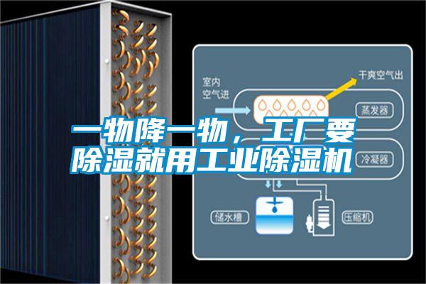 一物降一物，工廠要除濕就用工業(yè)除濕機(jī)