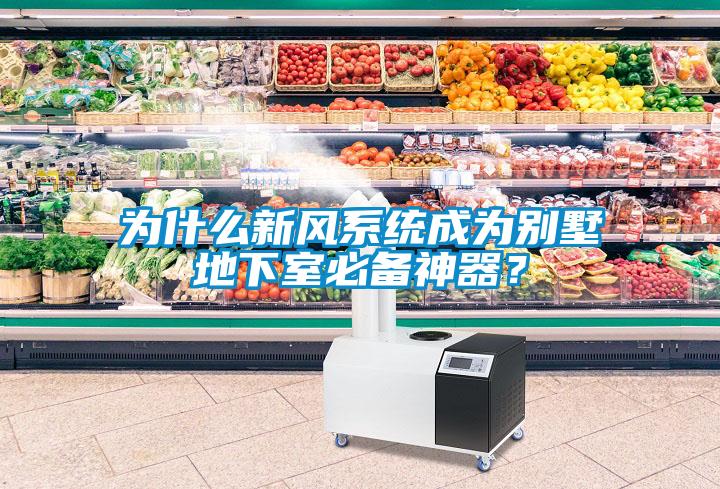 為什么新風系統(tǒng)成為別墅地下室必備神器？