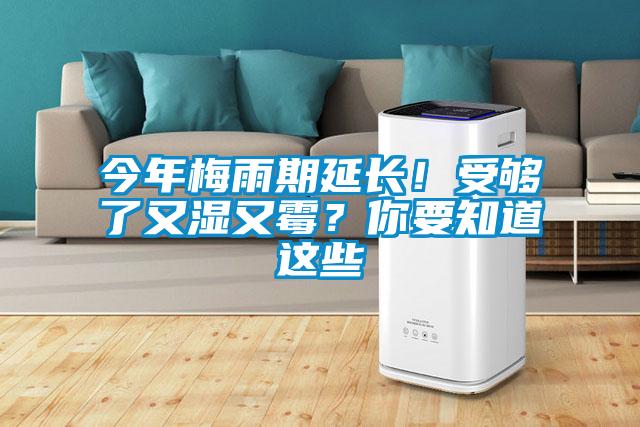 今年梅雨期延長！受夠了又濕又霉？你要知道這些