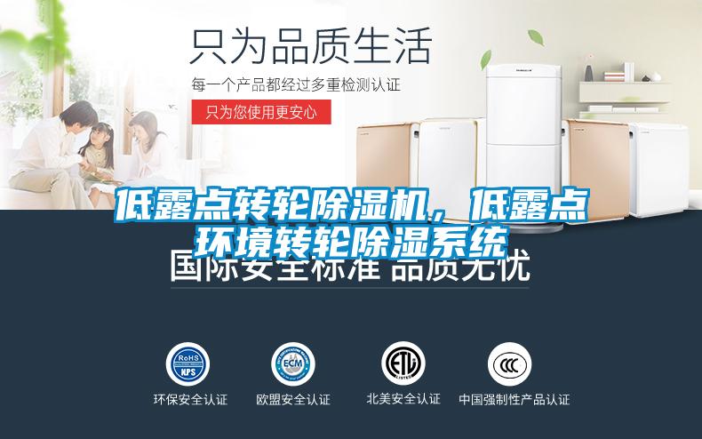 低露點(diǎn)轉(zhuǎn)輪除濕機(jī)，低露點(diǎn)環(huán)境轉(zhuǎn)輪除濕系統(tǒng)