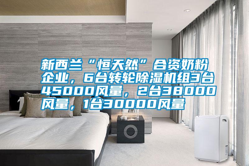 新西蘭“恒天然”合資奶粉企業(yè)，6臺轉(zhuǎn)輪除濕機(jī)組3臺45000風(fēng)量，2臺38000風(fēng)量，1臺30000風(fēng)量