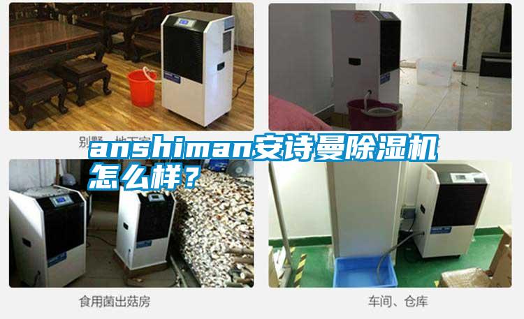 anshiman安詩曼除濕機怎么樣？