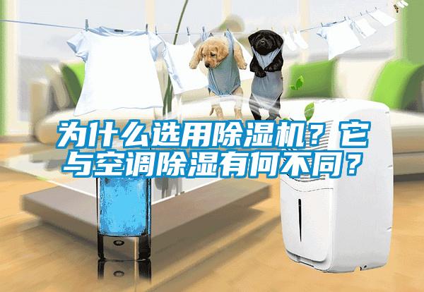 為什么選用除濕機(jī)？它與空調(diào)除濕有何不同？
