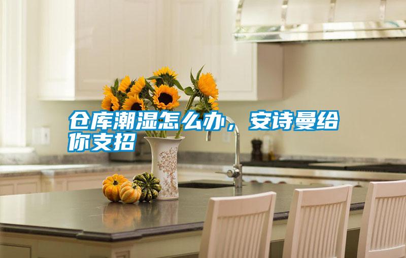 倉(cāng)庫(kù)潮濕怎么辦，安詩(shī)曼給你支招