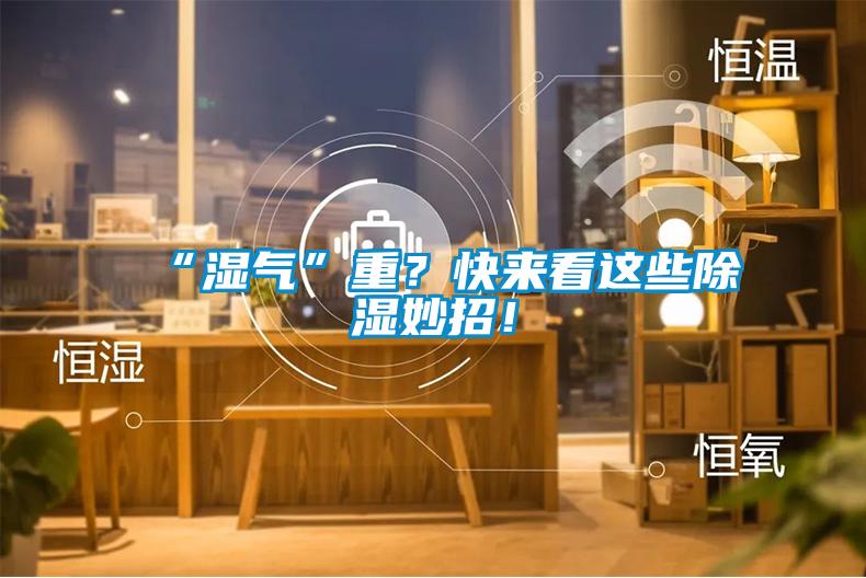 “濕氣”重？快來看這些除濕妙招！