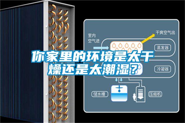 你家里的環(huán)境是太干燥還是太潮濕？