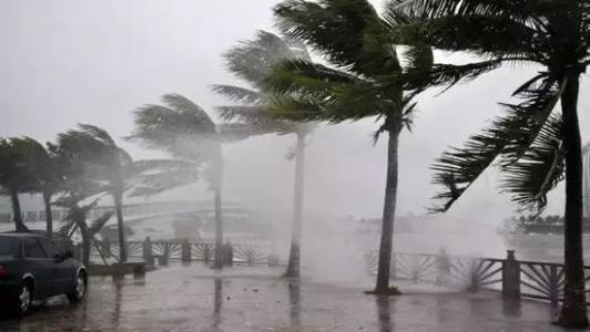 8月臺(tái)風(fēng)雨即將來，除濕機(jī)還得用起來
