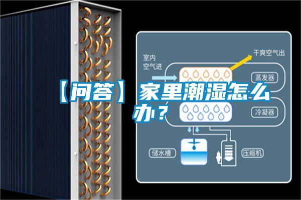 【問答】家里潮濕怎么辦？