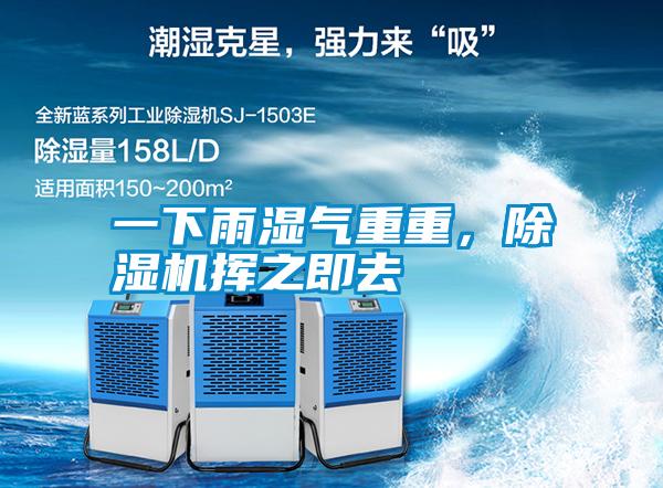 一下雨濕氣重重，除濕機(jī)揮之即去