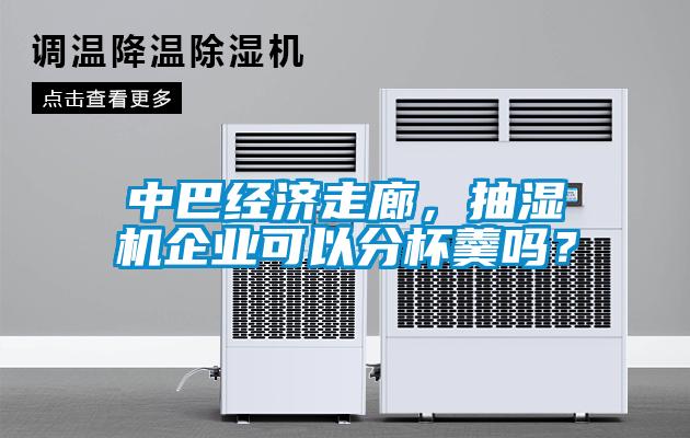 中巴經(jīng)濟走廊，抽濕機企業(yè)可以分杯羹嗎？
