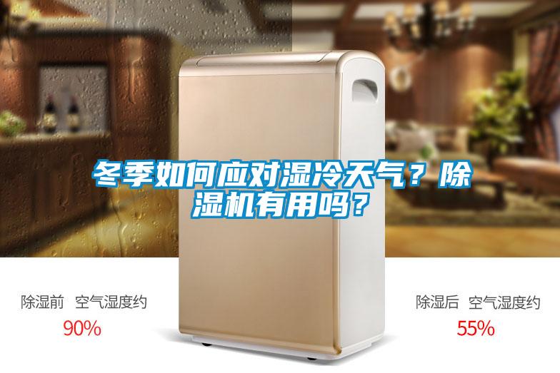 冬季如何應(yīng)對濕冷天氣？除濕機有用嗎？