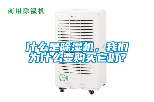 什么是除濕機(jī)，我們?yōu)槭裁匆徺I它們？