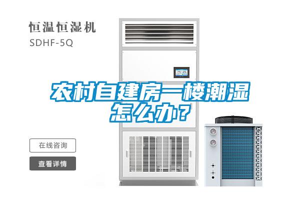 農(nóng)村自建房一樓潮濕怎么辦？