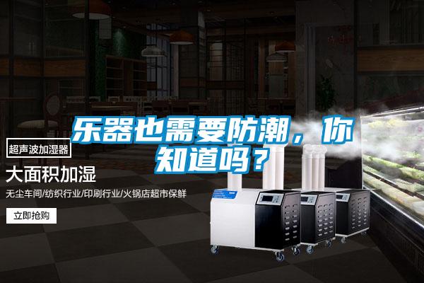 樂器也需要防潮，你知道嗎？