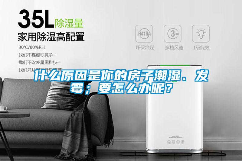 什么原因是你的房子潮濕、發(fā)霉；要怎么辦呢？