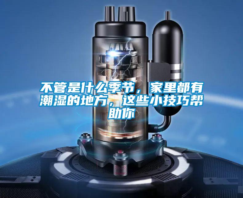 不管是什么季節(jié)，家里都有潮濕的地方，這些小技巧幫助你