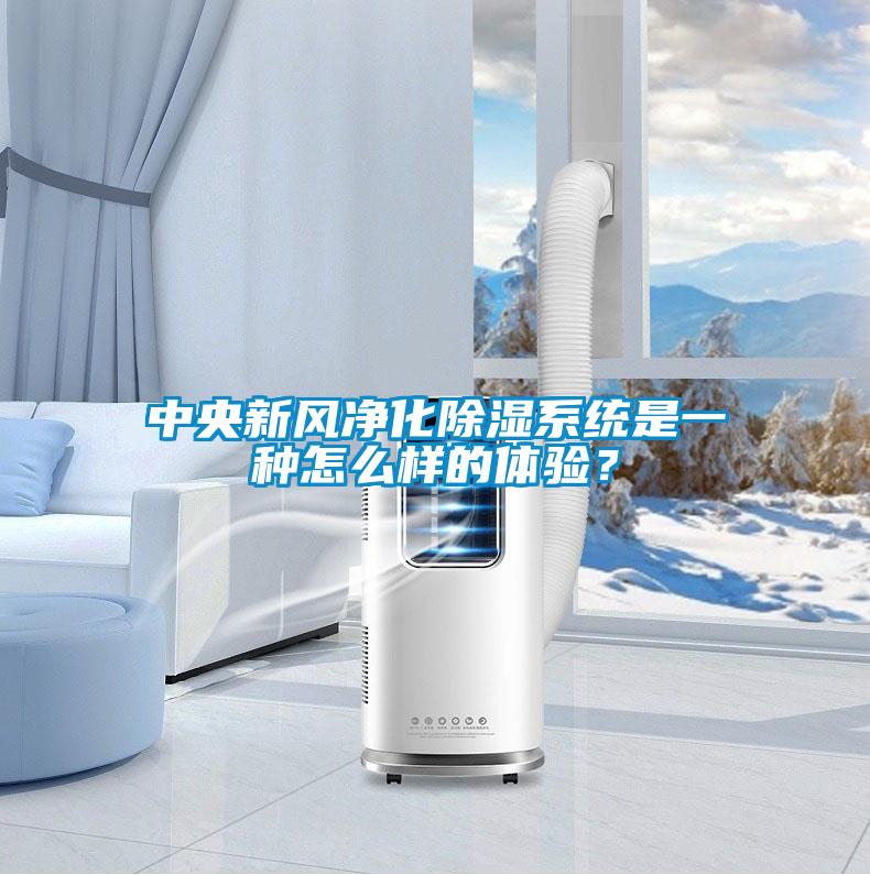 中央新風凈化除濕系統(tǒng)是一種怎么樣的體驗？
