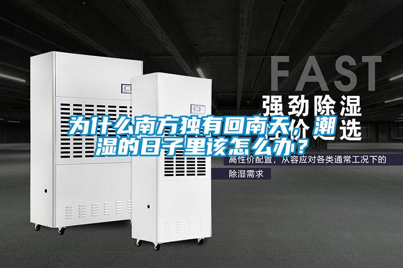 為什么南方獨有回南天，潮濕的日子里該怎么辦？
