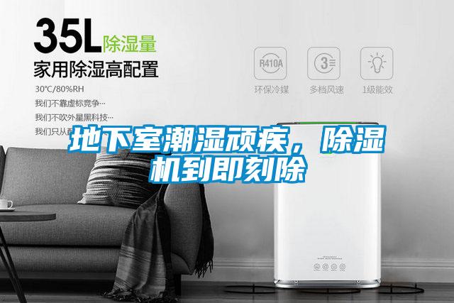 地下室潮濕頑疾，除濕機到即刻除