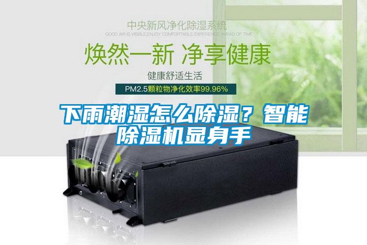下雨潮濕怎么除濕？智能除濕機顯身手