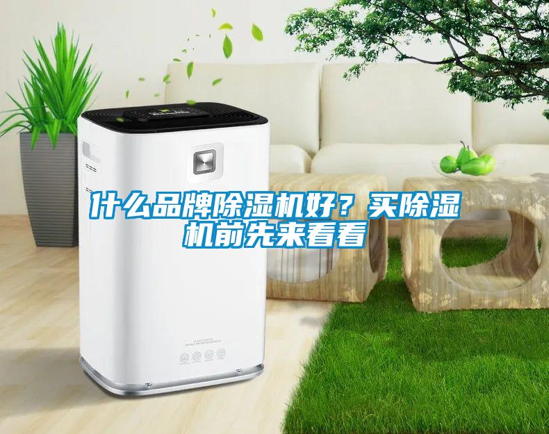 什么品牌除濕機(jī)好？買除濕機(jī)前先來看看