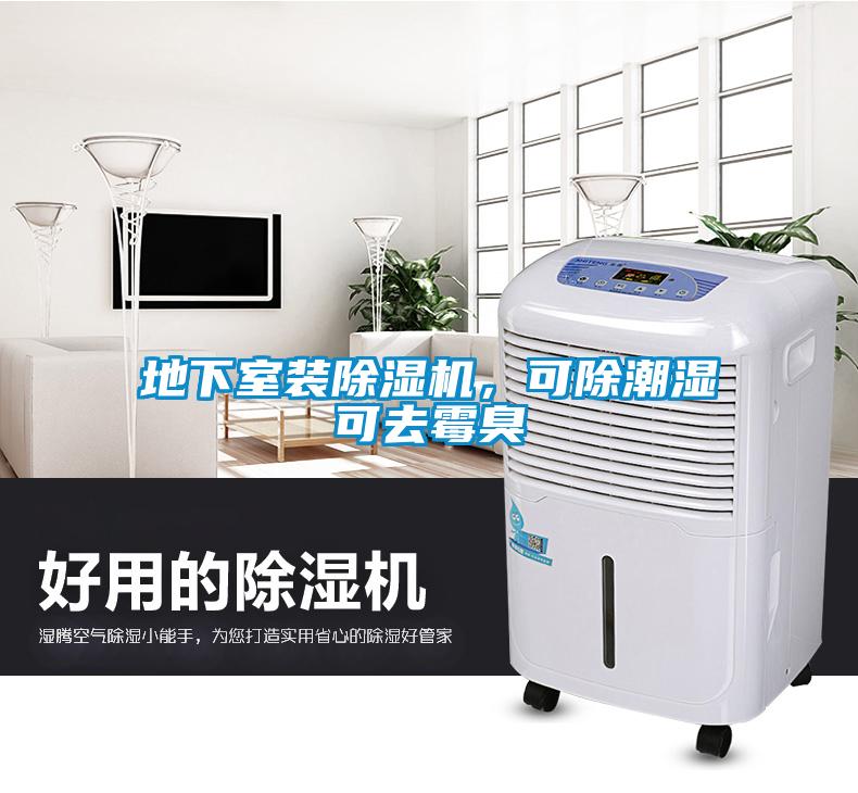 地下室裝除濕機(jī)，可除潮濕可去霉臭