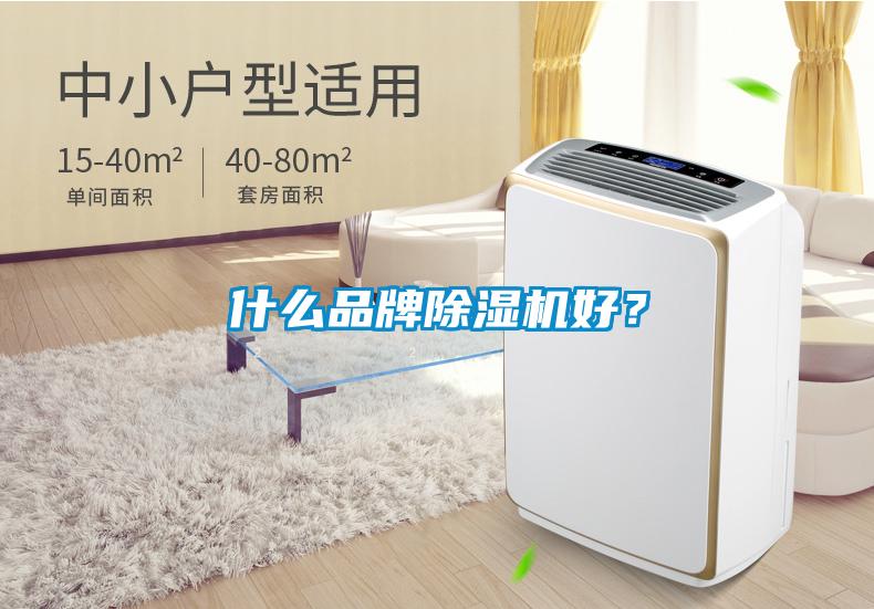 什么品牌除濕機好？