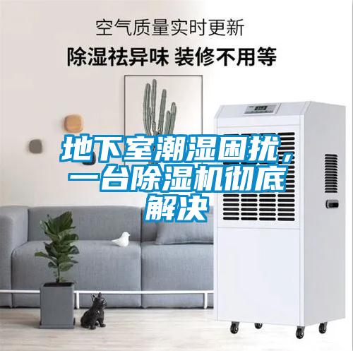 地下室潮濕困擾，一臺(tái)除濕機(jī)徹底解決