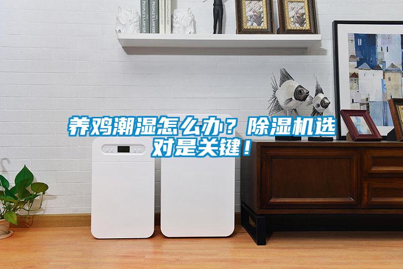 養(yǎng)雞潮濕怎么辦？除濕機(jī)選對(duì)是關(guān)鍵！