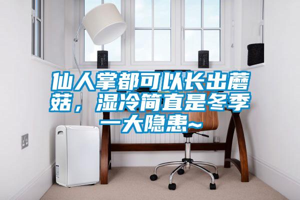 仙人掌都可以長(zhǎng)出蘑菇，濕冷簡(jiǎn)直是冬季一大隱患~