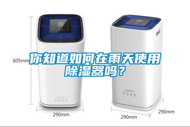 你知道如何在雨天使用除濕器嗎？