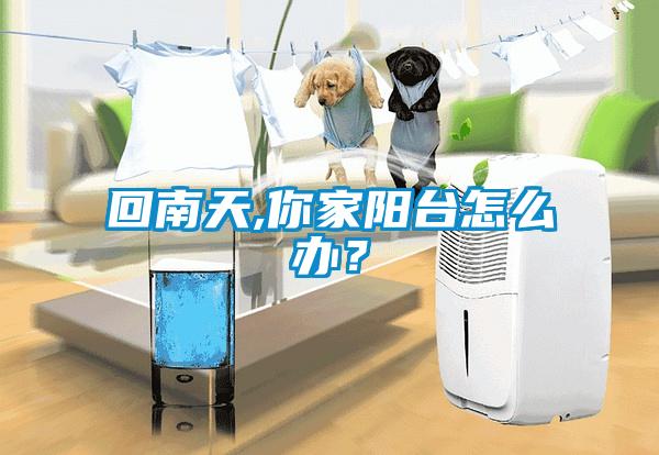 回南天,你家陽臺怎么辦？