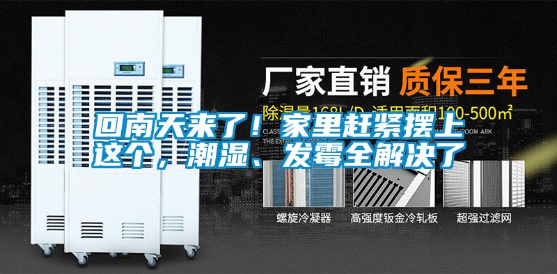 回南天來了！家里趕緊擺上這個(gè)，潮濕、發(fā)霉全解決了