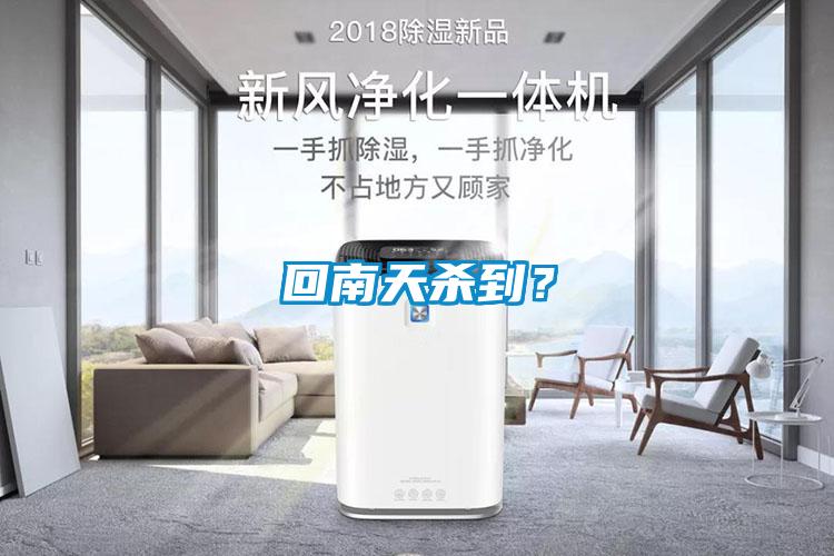 回南天殺到？
