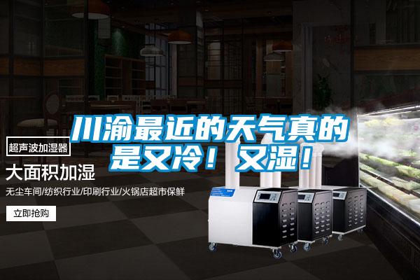 川渝最近的天氣真的是又冷！又濕！