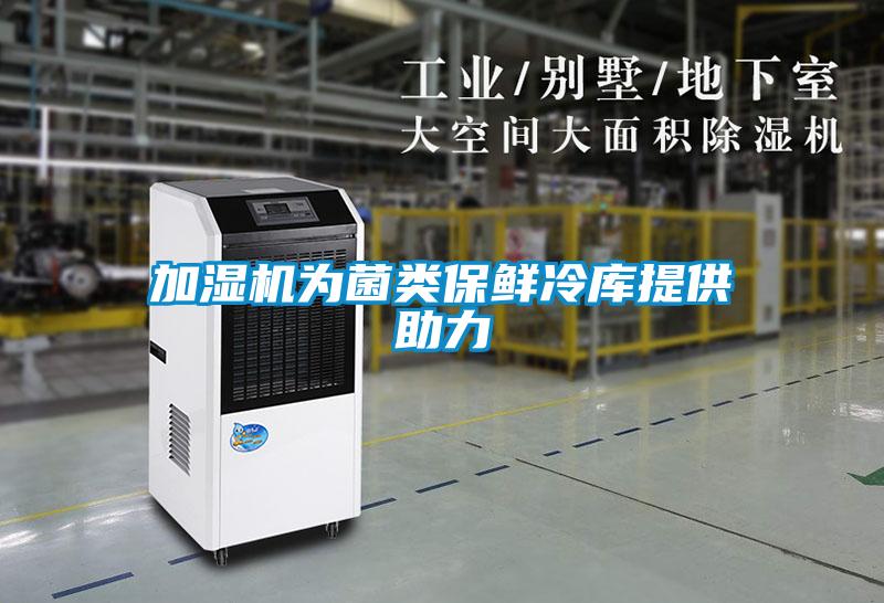 加濕機(jī)為菌類(lèi)保鮮冷庫(kù)提供助力