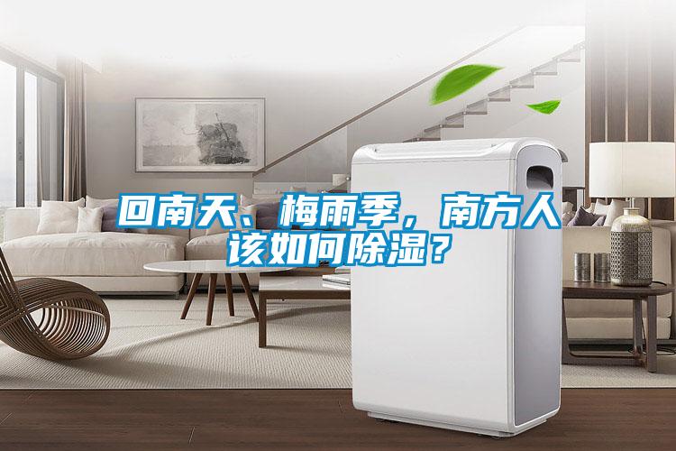 回南天、梅雨季，南方人該如何除濕？