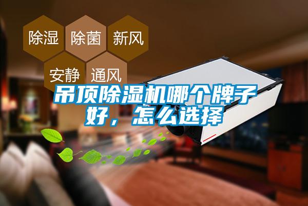 吊頂除濕機(jī)哪個牌子好，怎么選擇