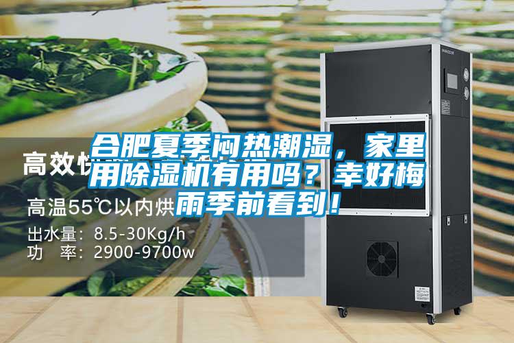 合肥夏季悶熱潮濕，家里用除濕機(jī)有用嗎？幸好梅雨季前看到！