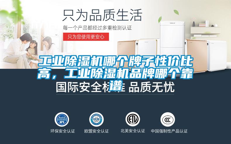 工業(yè)除濕機(jī)哪個(gè)牌子性價(jià)比高，工業(yè)除濕機(jī)品牌哪個(gè)靠譜
